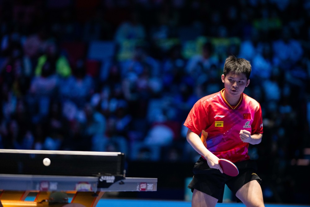 新西兰时展 新西兰时展